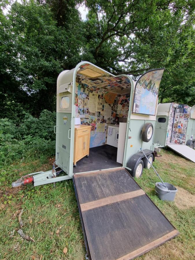 Glamping In Style, Prospector Tent ครอว์ลีย์ ภายนอก รูปภาพ
